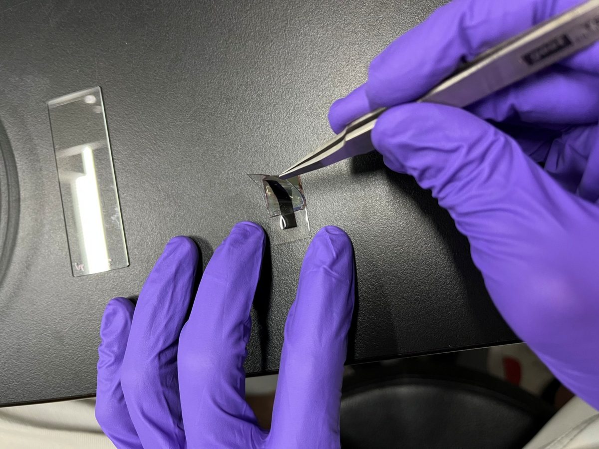 Gloved hands transferring solution with a pipette at the bench