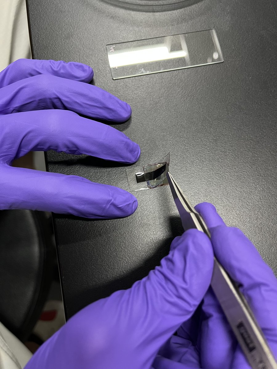 Soft substrate fabrication and thin-film transfer technique