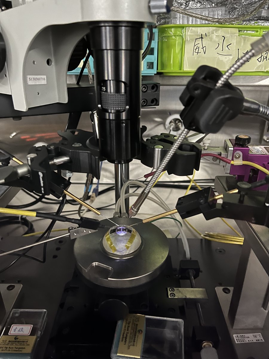 Transistor electrical measurement using probe station under microscope